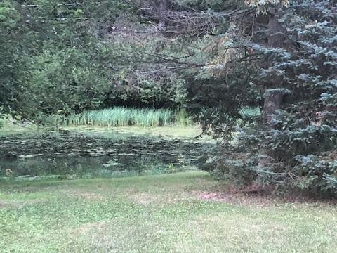 335 E Wise Rd, Other, MI 48382 photo 14