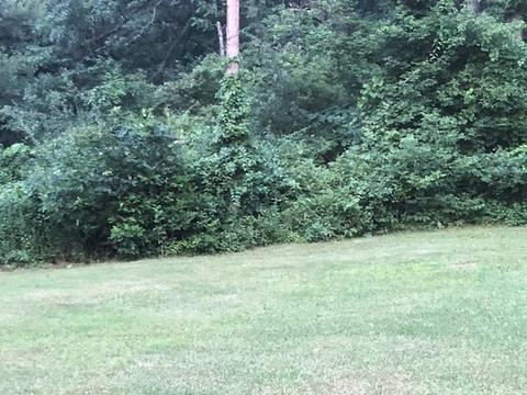 335 E Wise Rd, Other, MI 48382 photo 12