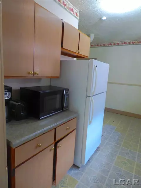 504 S Main, Adrian, MI 49221 photo 15