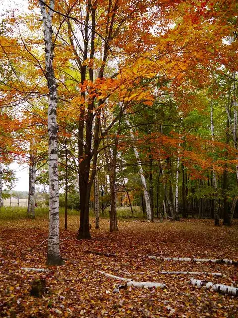 376 W Beaver, Kawkawlin, MI 48631 photo 26