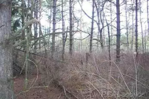 8749 Lakeshore, Burtchville, MI 48059 photo 3