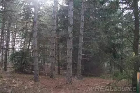 8749 Lakeshore, Burtchville, MI 48059 photo 4