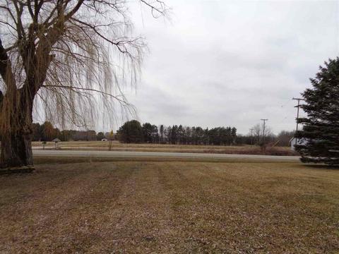 6595 Bray, Vassar, MI 48768 photo 56