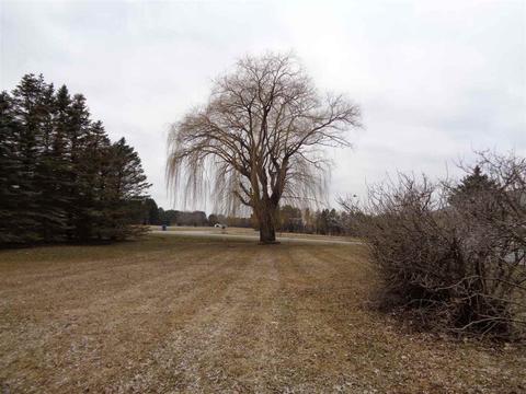 6595 Bray, Vassar, MI 48768 photo 54