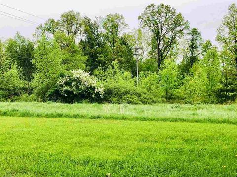 3307 E Mount Morris, Mount Morris, MI 48458 photo 37