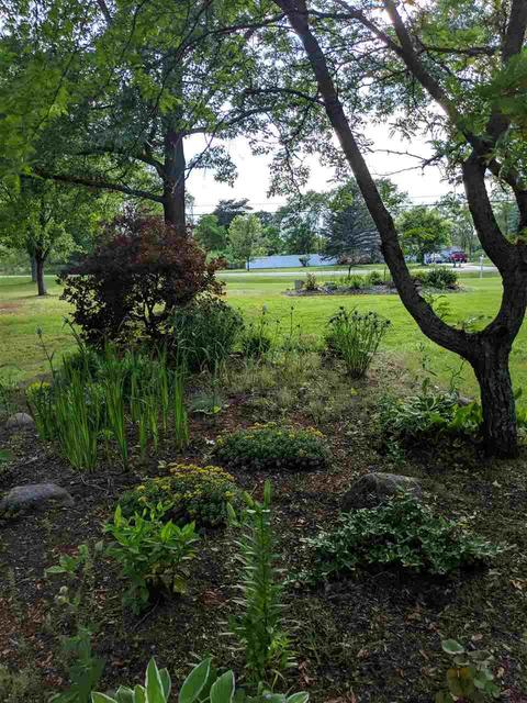 8508 N Webster Rd, Clio, MI 48420 photo 42