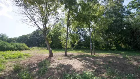 9701 Warner, Saline, MI 48176 photo 21