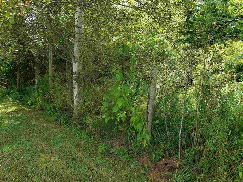 6055 Coldwater, Flushing, MI 48433 photo 12
