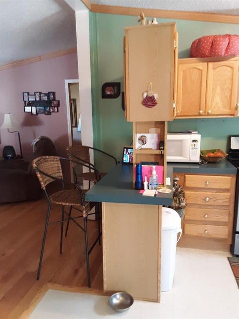 1408 Nelson, Owosso, MI 48867 photo 11