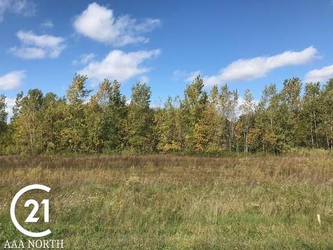 12603 Bugle Lk, Romeo, MI 48065