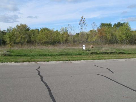 14258 Webster Dr, Linden, MI 48451 photo 5