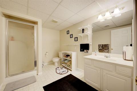 253 Aberdeen Ct, Flushing, MI 48433 photo 29