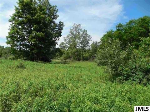 1237 Kimmel Rd, Jackson, MI 49201 photo 1