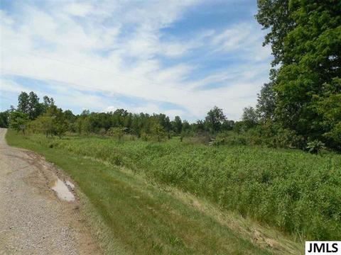 1237 Kimmel Rd, Jackson, MI 49201 photo 3