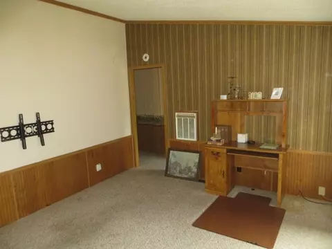 117 Mill St, Addison, MI 49220 photo 20