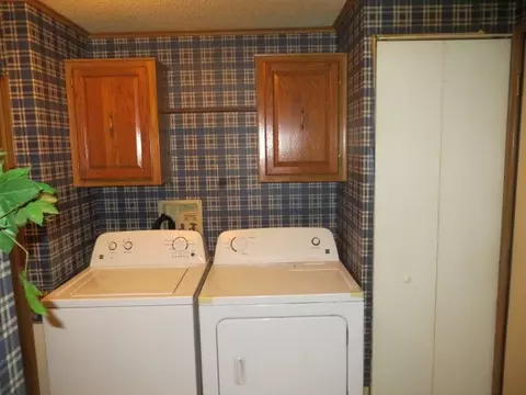 117 Mill St, Addison, MI 49220 photo 23