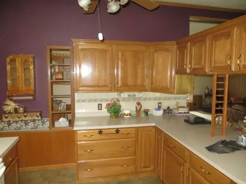 117 Mill St, Addison, MI 49220 photo 14