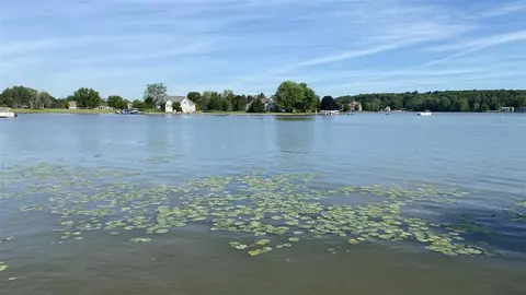 7965 Wadding Dr, Onsted, MI 49265 photo 23
