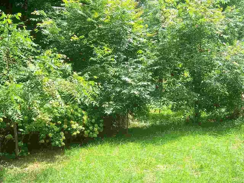 3143 Perlman Rd, Jackson, MI 49203 photo 3