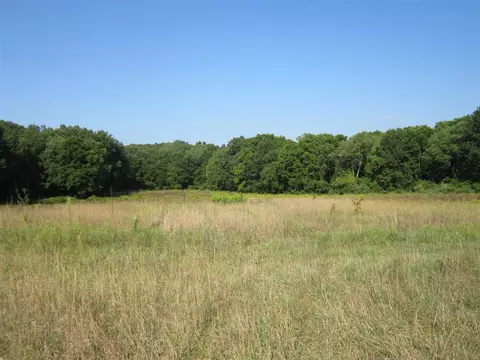 1260 Munith Rd, Jackson, MI 49202 photo 6