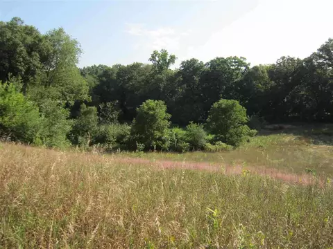 1260 Munith Rd, Jackson, MI 49202 photo 4