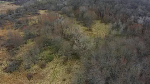 2700 Litle Rd, Parma, MI 49269 photo 27
