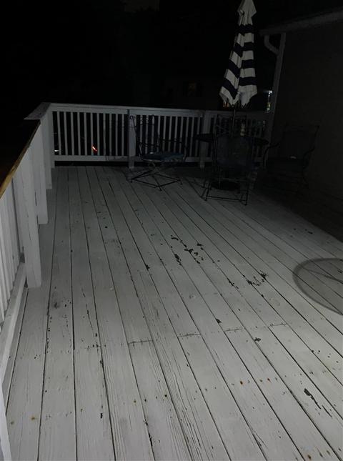 218 Marshall, Brooklyn, MI 49230 photo 7