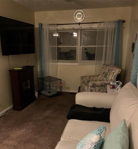 218 Marshall, Brooklyn, MI 49230 photo 4