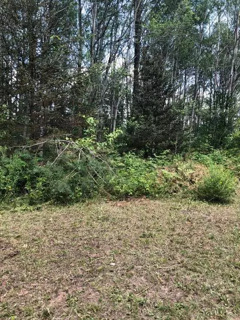 5109 N Old State Rd, Harrison, MI 48265 photo 9