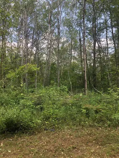 5109 N Old State Rd, Harrison, MI 48265 photo 2