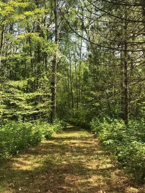 5109 N Old State Rd, Harrison, MI 48265 photo 19