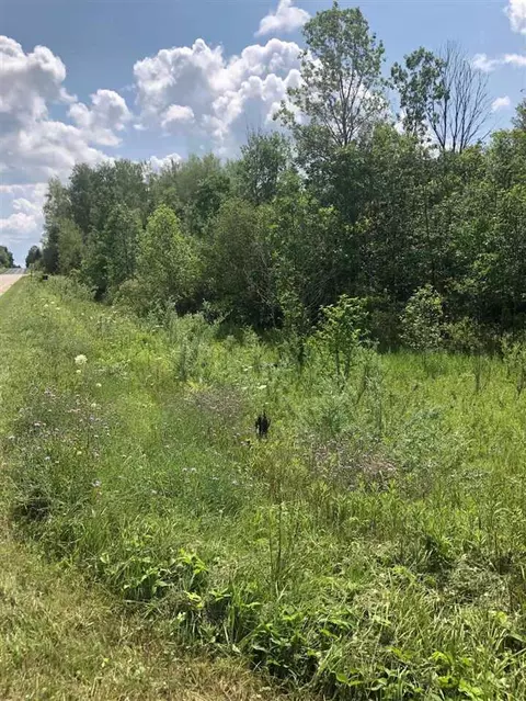 5109 N Old State Rd, Harrison, MI 48265 photo 5