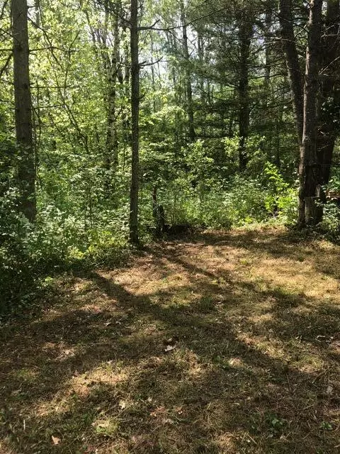 5109 N Old State Rd, Harrison, MI 48265 photo 13