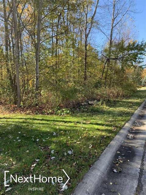 0 Stonebrook, Flushing, MI 48433 photo 6
