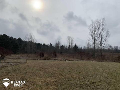 12070 Davison Rd, Davison, MI 48423 photo 11