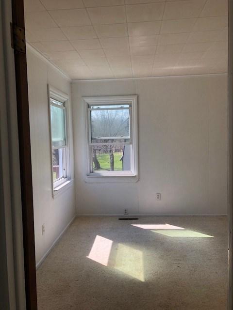 9105 Neff, Clio, MI 48420 photo 23