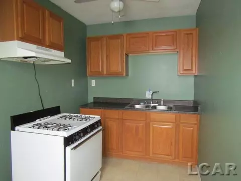 104 S Tecumseh, Adrian, MI 49221 photo 10