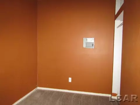 104 S Tecumseh, Adrian, MI 49221 photo 13