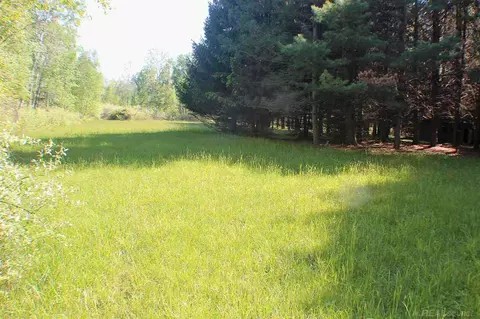 5850 E Shabbona, Carsonville, MI 48419 photo 7