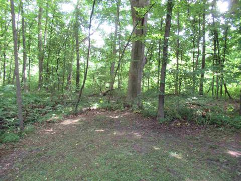 3244 Amelia Ave, Flushing, MI 48433 photo 26