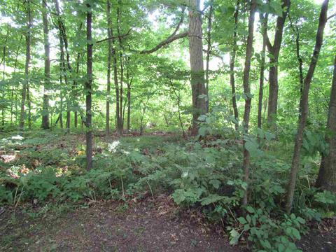 3244 Amelia Ave, Flushing, MI 48433 photo 27