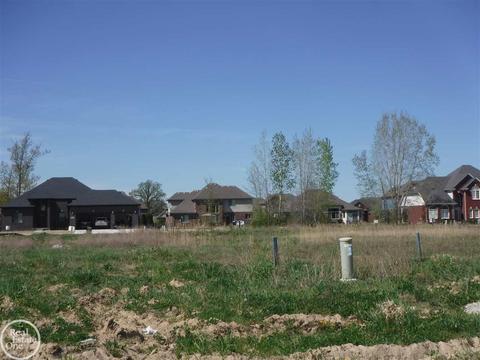 19223 Springbrook #173, Macomb Twp, MI 48044