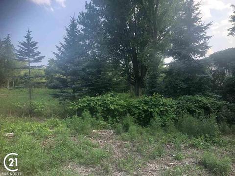 0 31 Mile Rd Parcel 3, Ray Twp, MI 48096