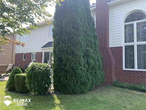 48372 Lafayette Dr, Macomb, MI 48044 photo 37