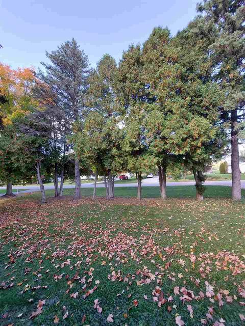 575 Pasadena, Owosso, MI 48867 photo 5