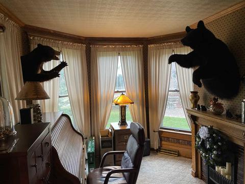 311 N Main, Bancroft, MI 48414 photo 23