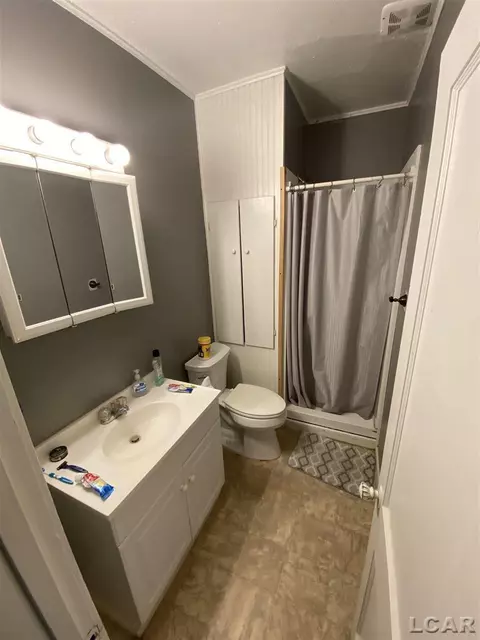 141 E Maple, Adrian, MI 49221 photo 19
