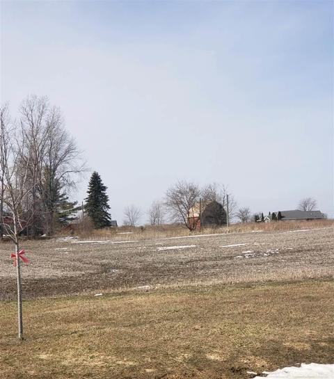 Harrington Rd/dot Street-parcel B, Croswell, MI 48422