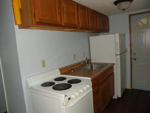 809 River, Owosso, MI 48867 photo 4