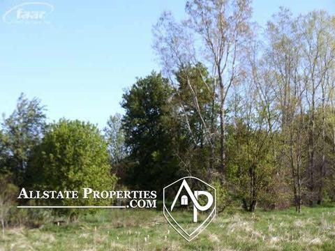 11185 E Bristol, Davison, MI 48423 photo 2